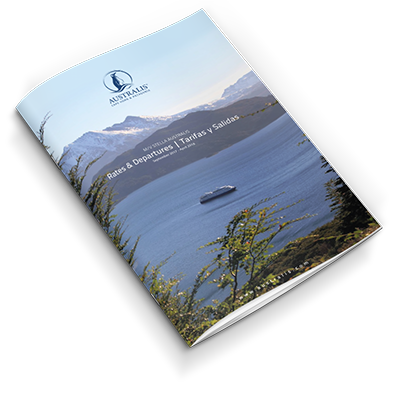ebook-sample.png